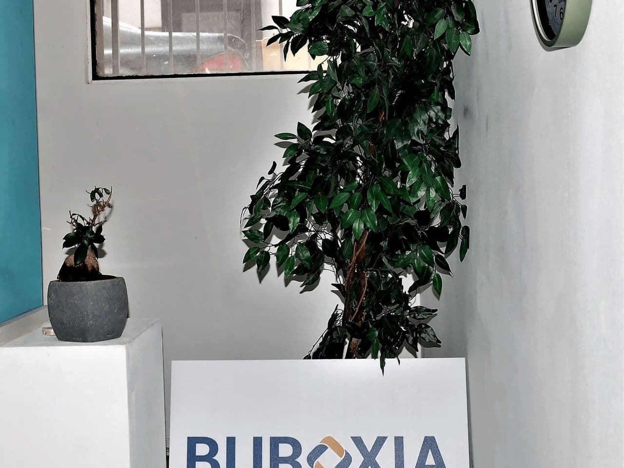 Espace de coworking Buroxia à Marseille - photo 3