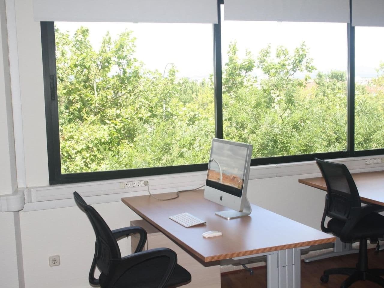 Espace de coworking Working Hive à Madrid - photo 3