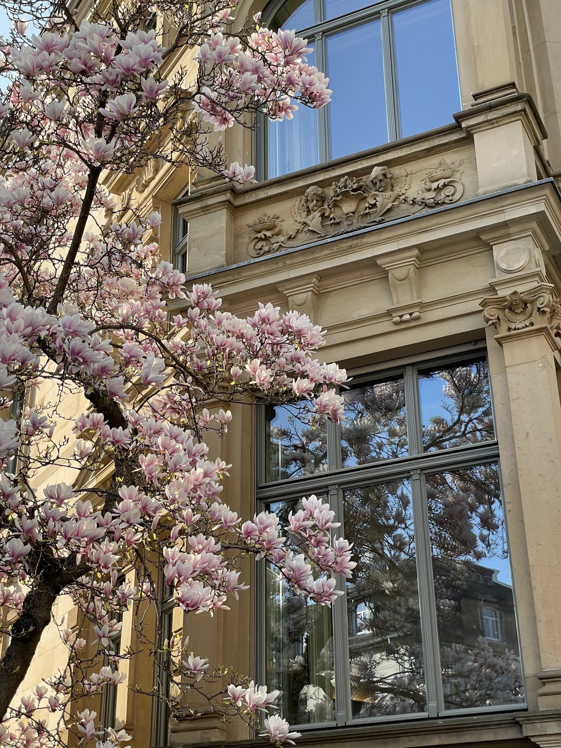 Noto Frankfurt Arndtstraße
