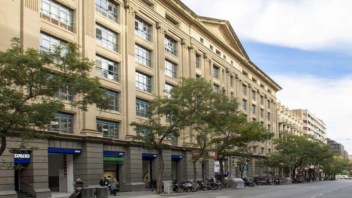 Edificio David