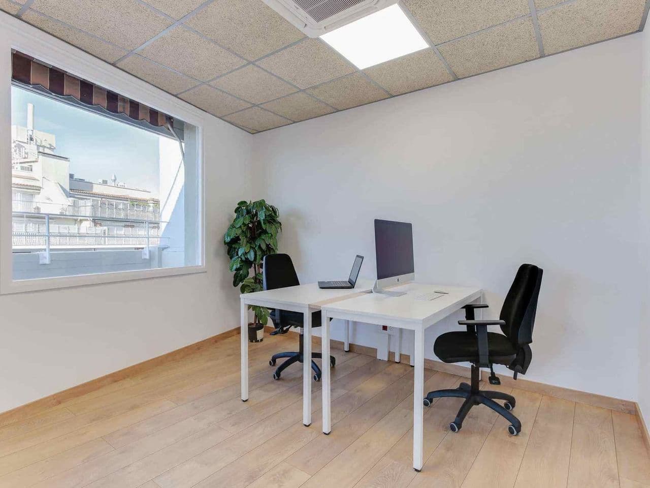 Flycowork