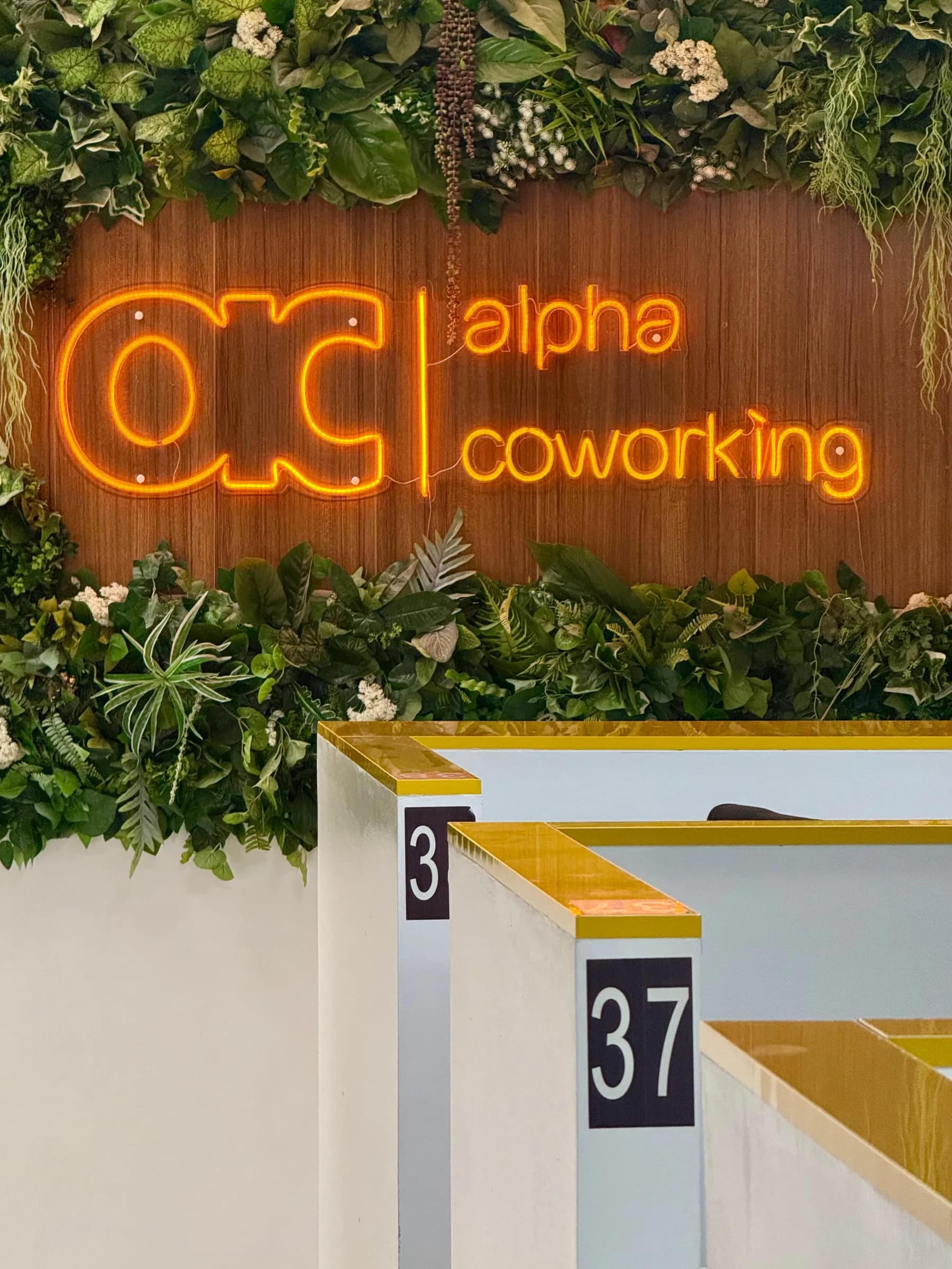 ALPHA COWORKING