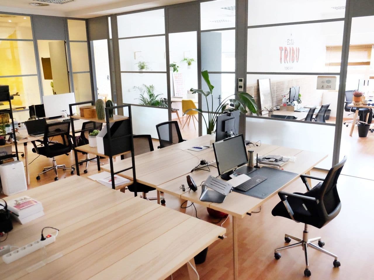 Coworking 13 Manos
