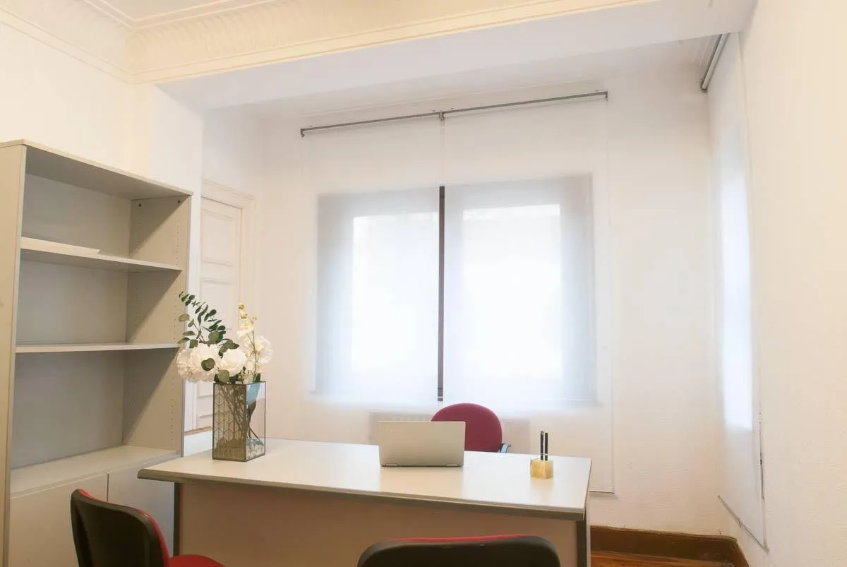 Centro De Negocios Sangüesa 6
