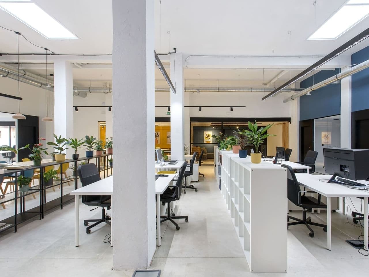 Miso Coworking Calle Uztarroz 16