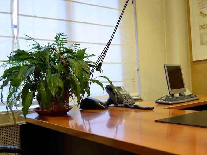 Oficinas Ya Velazquez