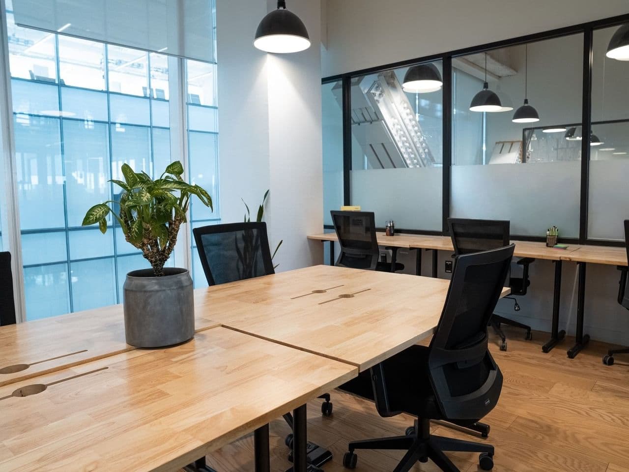 WeWork Reforma Latino