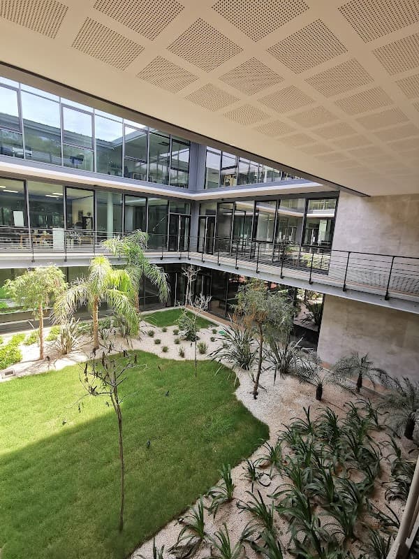 Flex-O - Flex-O Sophia Antipolis